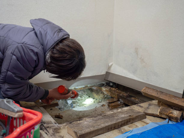 Best Air Quality Testing for Mold Spores  in Cadillac, MI