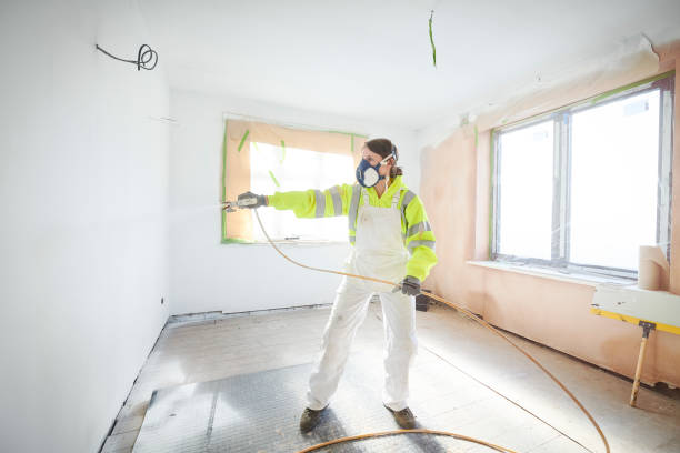 Best Black Mold Removal  in Cadillac, MI