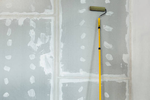 Trusted Cadillac, MI Mold Removal Experts
