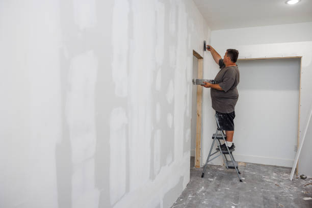  Cadillac, MI Mold Removal Pros