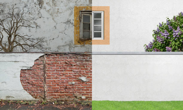 Best Mold Damage Restoration  in Cadillac, MI