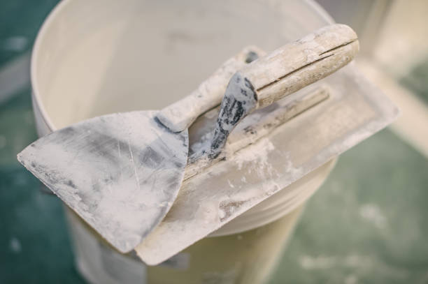Best Mold Prevention Services  in Cadillac, MI